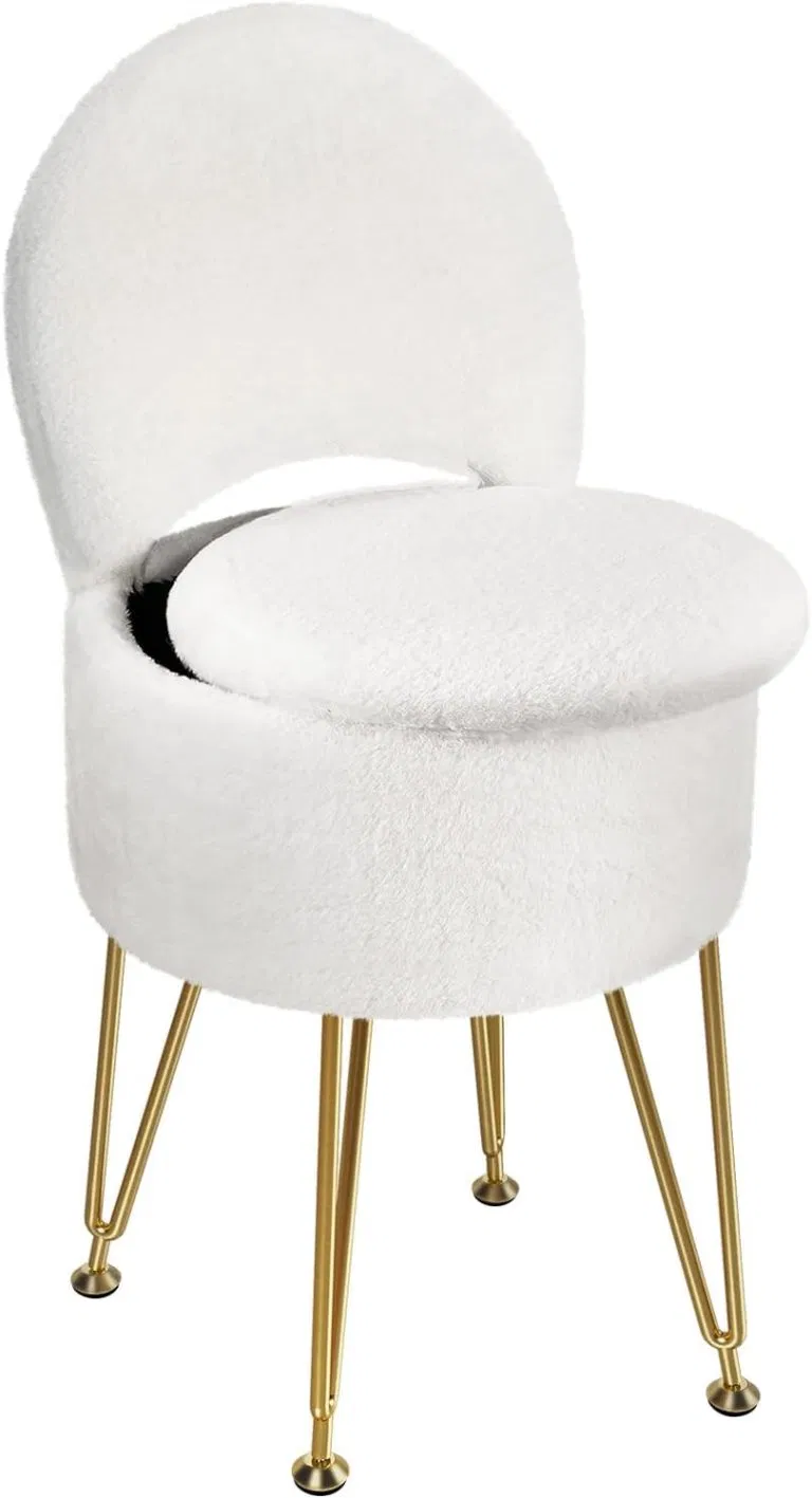 GREENSTELL Vanity Stool Chair with Storage